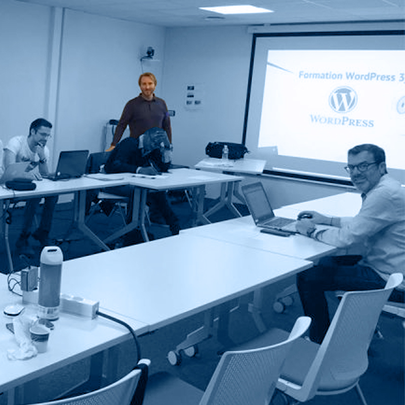 Formation WordPress au SQY Cub 2018 par Serious Team 360° Formation WordPress au SQY Cub 2018 par Serious Team 360°
