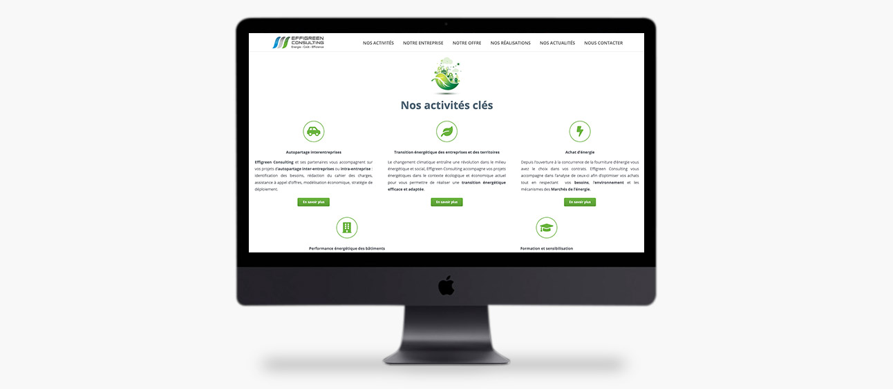 Effigreen Consulting site web