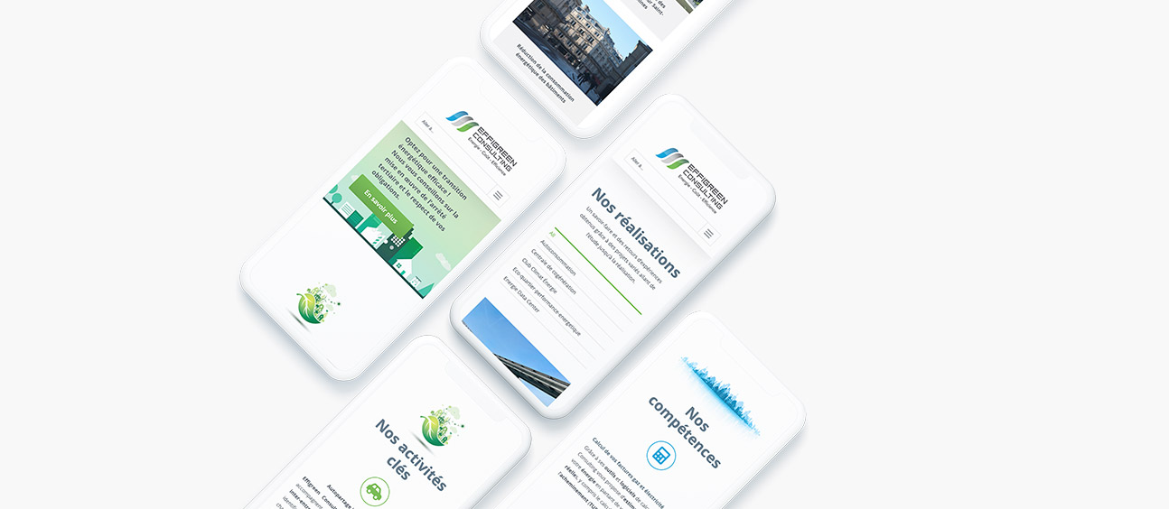 Effigreen Consulting site web