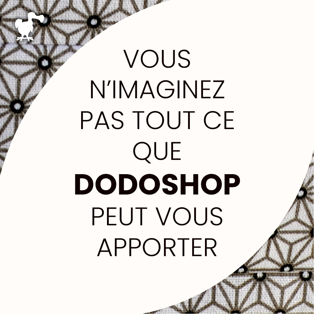 dodoshop-tissu-coton-tee-shirts-pub-dodo-abcskate-citation1 dodoshop-tissu-coton-tee-shirts-pub-dodo-abcskate-citation1