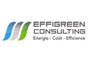 Logo Effigreen Consulting