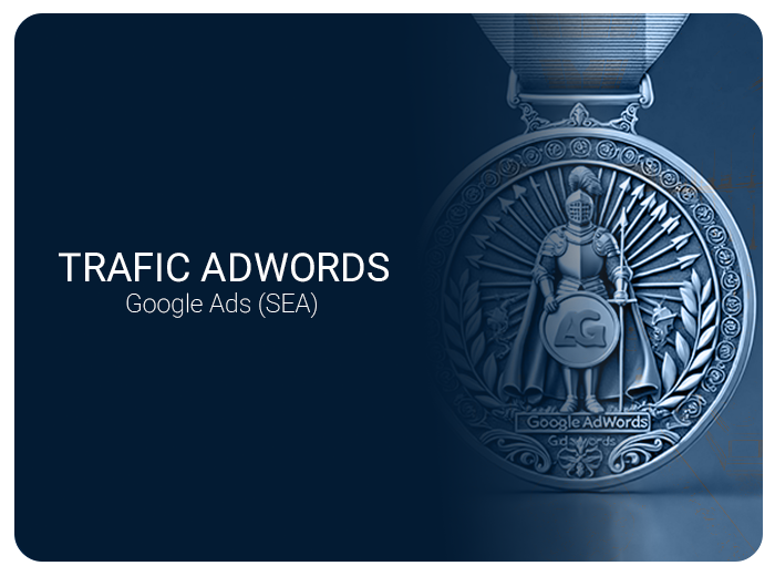 TRAFIC ADWORDS : Google Ads (SEA)